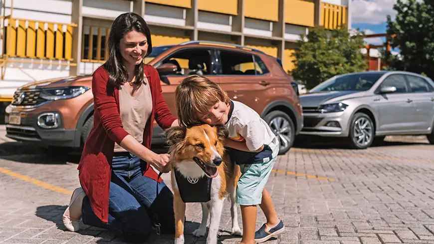 Como transportar seu pet no carro com segurança